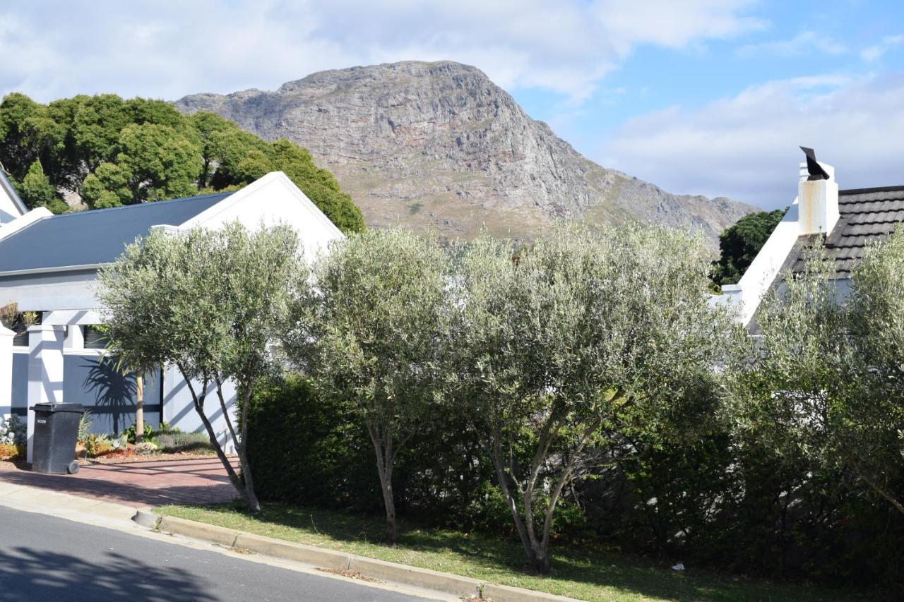 Protea Studio Franschhoek Central Экстерьер фото